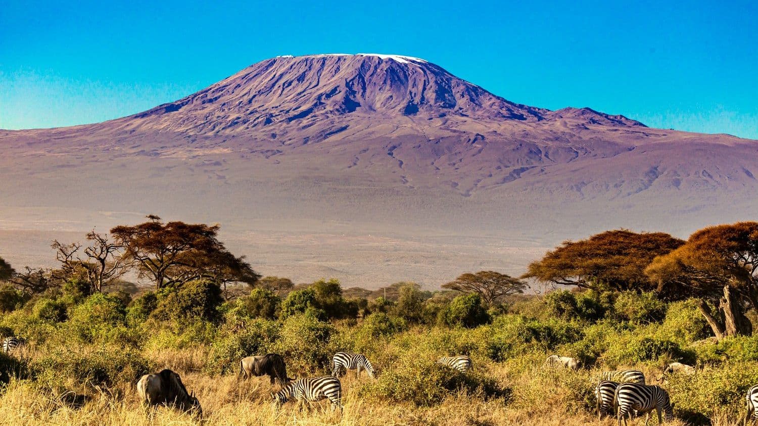 De Kilimanjaro in 48 uur samen met Wim Hof
